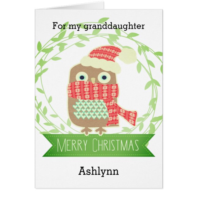 かわいいフクロウのクリスマスの孫 (正面)