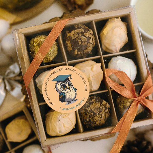 かわいいフクロウの子供たち卒業 |オレンジ新学期 ラウンドシール