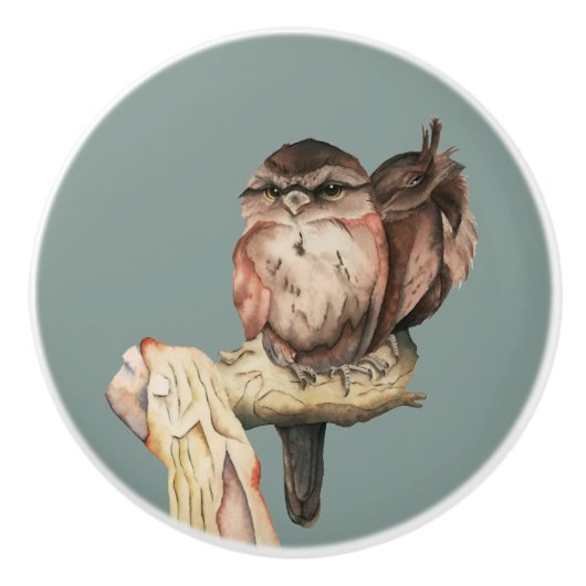 かわいいフクロウの鳥の水彩画のポートレート セラミックノブ (正面)