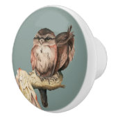 かわいいフクロウの鳥の水彩画のポートレート セラミックノブ (右)