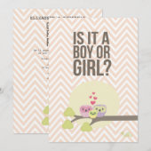 かわいいフクロウファミリーベビージェンダーリビールパーティー招待状 招待状 (正面/裏面)