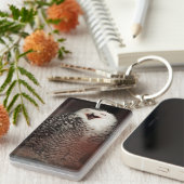 かわいいフクロウ付アクリルキーチェーンデザイン キーホルダー (正面右)