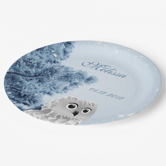 かわいいフクロウ冬の子どもたちカスタムの誕生日パーティー ペーパープレート (アングル)