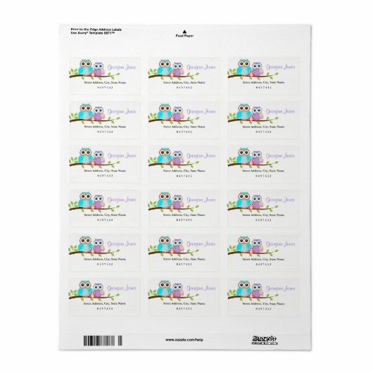 かわいいフクロウ家族の女の子ベビーシャワー住所 シール (フルシート)