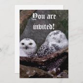 かわいいフクロウ招待状 招待状 (正面/裏面)