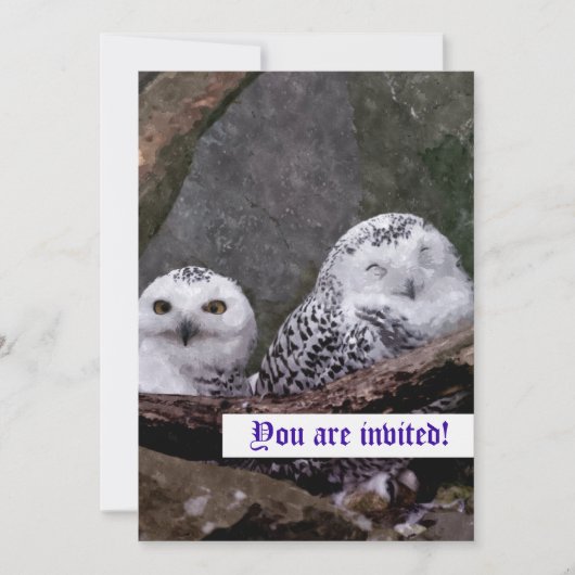 かわいいフクロウ招待状 招待状 (正面)