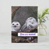 かわいいフクロウ招待状 招待状 (スタンド正面)