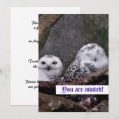 かわいいフクロウ招待状 招待状 (正面/裏面)