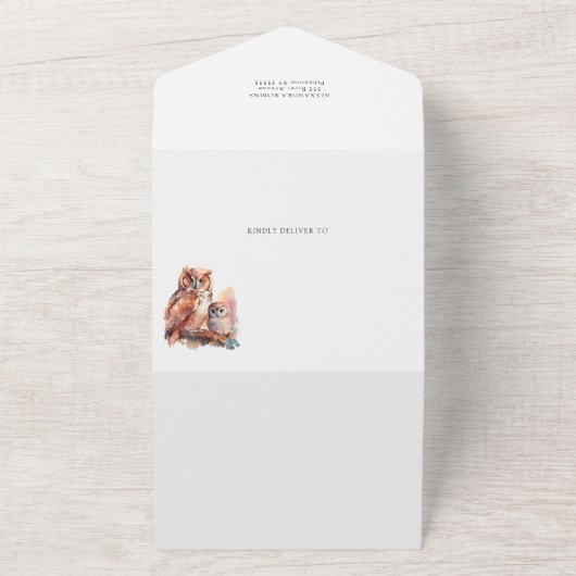 かわいいフクロウ赤ちゃんシャワー招待状とおむつラッフル オールインワン招待状 (外側)