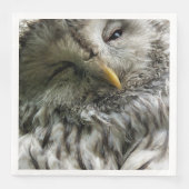 かわいいフクロウ (正面)