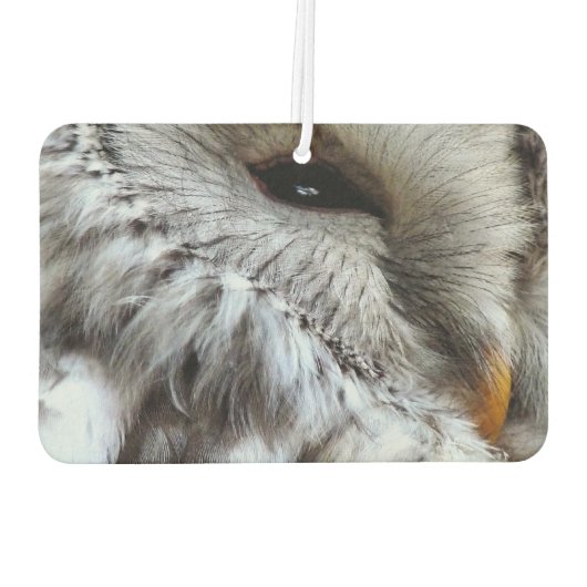 かわいいフクロウ カーエアーフレッシュナー (裏面)