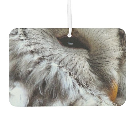 かわいいフクロウ カーエアーフレッシュナー (正面)