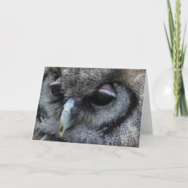 かわいいフクロウ カード