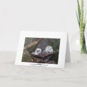 かわいいフクロウ カード (裏面)