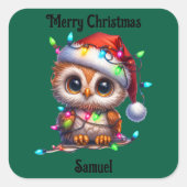かわいいフクロウ クリスマス ホリデー ステッカー (正面)