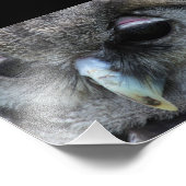 かわいいフクロウ フォトプリント (角)