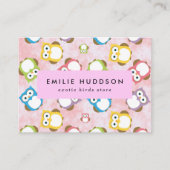 かわいいフクロウ、フクロウ柄、ペットショップ、バードストア 名刺 (正面)