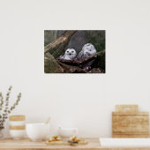 かわいいフクロウ ポスター (キッチン)