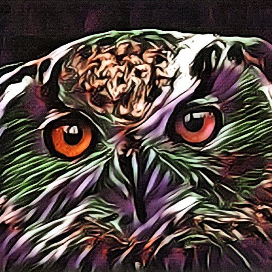 かわいいフクロウ ポストカード