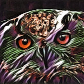 かわいいフクロウ メジャー