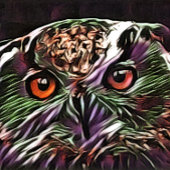 かわいいフクロウ ラッピングペーパーシート