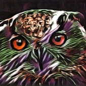 かわいいフクロウ 卓球ラケット