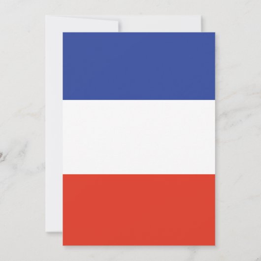 かわいいフランスのマンガ動物カスタムの誕生日パーティー 招待状 (裏面)