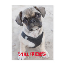 かわいいフレンチブルドッグの子犬