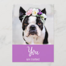 *~* かわいいフレンチブルドッグ フレンチィ イベントご招待