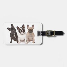 かわいいフレンチ・ブルドッグの子犬 ラゲッジタグ
