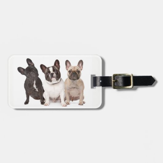 かわいいフレンチ・ブルドッグの子犬 ラゲッジタグ (正面横)