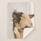 かわいいフレンチ・ブルドッグのFrenchieの子犬の名前の骨 シェルパブランケット (正面)