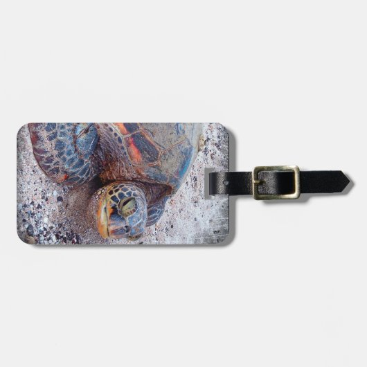 かわいいフレンドリーハワイアンウミガメ本羽撮影 ラゲッジタグ (正面横)