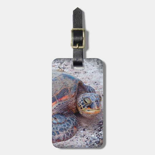 かわいいフレンドリーハワイアンウミガメ本羽撮影 ラゲッジタグ (正面縦)