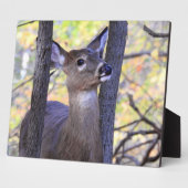 かわいいフレンドリー鹿が森に フォトプラーク (側面)