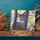 かわいいフレンドリー鹿が森に フォトプラーク (側面)