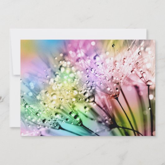 かわいいフローラとレインドロップ誕生日パーティーの招待状 招待状 (裏面)