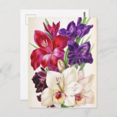 かわいいフローラはがき ポストカード (正面/裏面)