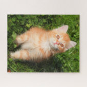 かわいいフワフワのオレンジ色のタビー猫ネコ ジグソーパズル (横)