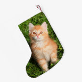 かわいいフワフワのオレンジ色のタビー猫ネコ スモールクリスマスストッキング (裏面 (吊り時))