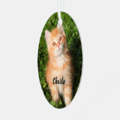 かわいいフワフワのオレンジ色のタビー猫ネコ メタルオーナメント (正面左)