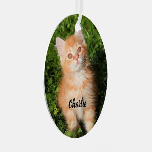 かわいいフワフワのオレンジ色のタビー猫ネコ メタルオーナメント (正面右)