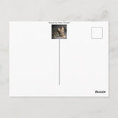 かわいいフワフワのキジトラ猫の赤ちゃん「早く回復してね」 ポストカード (裏面)