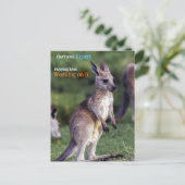 かわいいフワフワのジョーイカンガルー シーズンポストカード (スタンド正面)