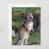 かわいいフワフワのジョーイカンガルー シーズンポストカード (正面/裏面)