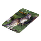 かわいいフワフワのジョーイカンガルー マグネット (左側)