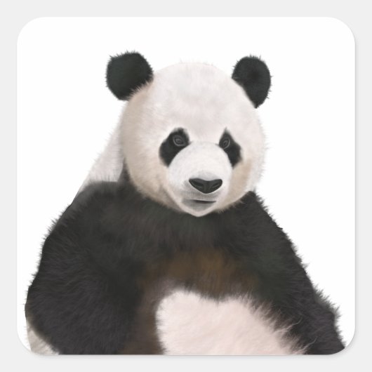 かわいいフワフワのパンダ スクエアシール (正面)