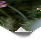 かわいいフワフワのヒツジのポスター ポスター (コーナー)