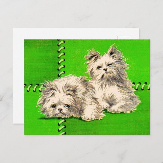 かわいいフワフワの犬たち ポストカード (正面/裏面)