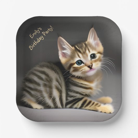 かわいいフワフワの猫ベビー ペーパープレート (正面)